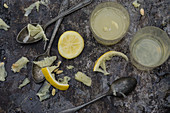 Bergamotte und Zitronensaft mit Vintage Löffeln auf grauem Untergrund