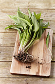 Fresh wild garlic with roots on a wooden board