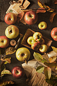 Äpfel und Blätter
