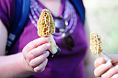 A woman holding two fresh morel mushrooms