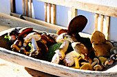 Fresh wild mushrooms in a wooden bowl