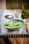 Cream of pea soup with pesto, cod and micro greens