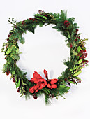Christmas wreath of green branches and amaryllis flower