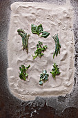 Leaves and twigs of various edible salt plants on a bed of sand (overhead)