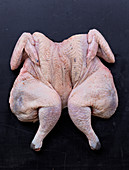 A folded whole chicken