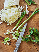 Chinese cabbage, spring onions and mint being chopped