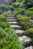Stone steps surrounded by plants and granite boulders in garden