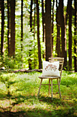 Mushroom-patterned cushion on chair in sunny woodland clearing