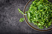 Green salad arugula and baby spinach