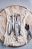 Still life of fresh mackerel
