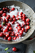Cranberries on ice