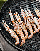 Shrimps on a barbecue