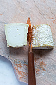 Goat's cheese with a cheese knife
