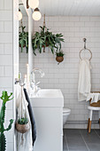 Houseplants in white bathroom