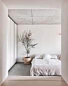 Glance into the minimalist bedroom with double bed, tree and cupboard