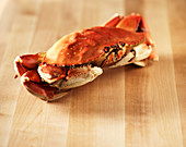 A crab on a wooden surface