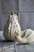 A pale warty squash and a bottle gourd