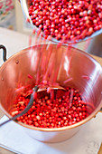 Lingon berry jam being made, raw lingon berries being place in a pot