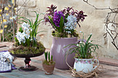 Spring Arrangement In Household Appliances As A Table Decoration