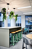 Counter with bar stools below pendant lamps and plants in hanging baskets in work lounge