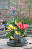 Tisch-Arrangement mit Tulpen, Narzissen und Traubenhyazinthen