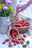 Erdbeeren in Korb und umgekippter Schale