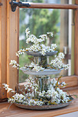 Sloe branches in a self-made cake stand