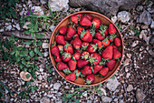Fresh strawberries in a ceramic bowl outside in the garden