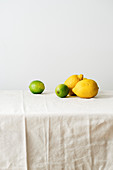 Stillleben mit Limetten und Zitronen auf weisser Leinentischdecke