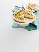 Vanille-Cheesecake mit Mandeln