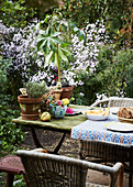 Simply set table in mature, natural-style garden