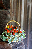 Basket of rose hips and ivy
