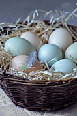 Pastellfarbene Eier im Nest