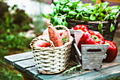 Frisches Gemüse auf Holztisch im Garten