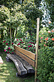 Rustic wooden bench in front of shrub roses in garden