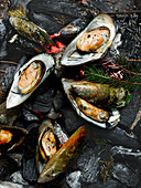 Mussels on a grill