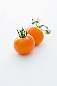 'Orange Favourite' (tomato variety)