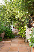 Path leading from terrace into garden