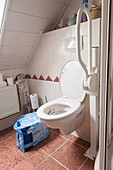 Domestic accessible toilet and incontinence pads