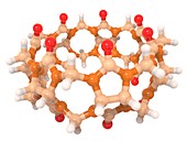 Cucurbituril cyclic macromolecule, molecular model