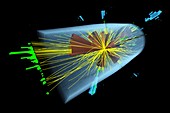 Micro black hole experiment in CERN's CMS detector