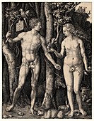 Albrecht Durer's 'Adam and Eve', 1504