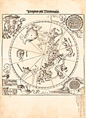 Southern star chart, 1515