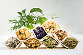 Assortment of dried plants and aromatic herbs