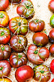 Tomatoes, old varieties