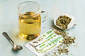 Horsetail tea (Equisetum arvense)