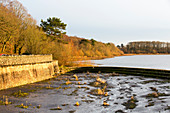 Swithland Reservoir in Leicestershire, UK