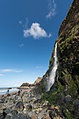 Waterfall cascading over sea cliff, Tresaith, Wales, UK