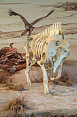 Agate Fossil Beds National Monument, USA