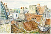 Seagull nesting on a rooftop, illustration